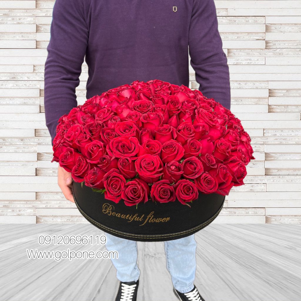 باکس 180 شاخه رز هلندی