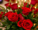 معنی گل رز قرمز